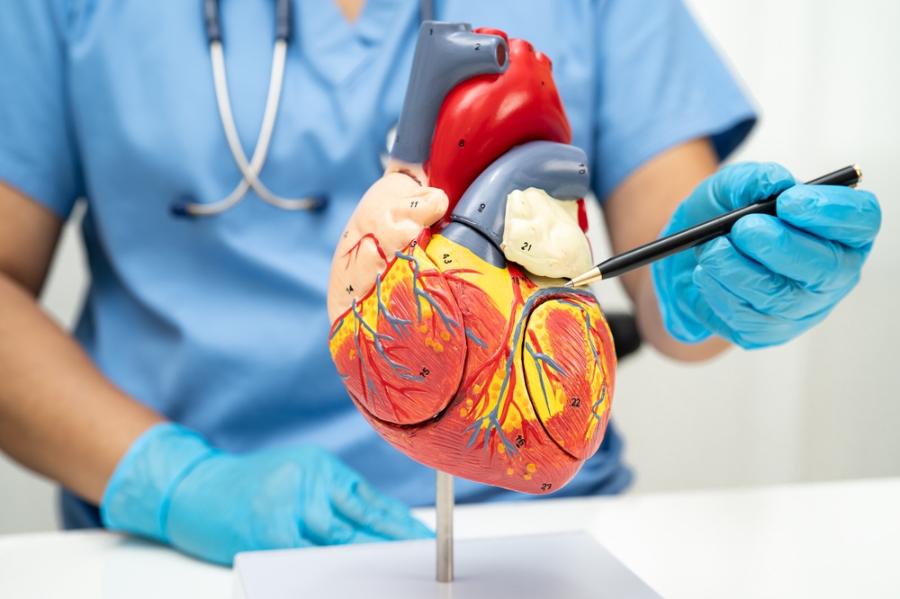Peripheral Artery Disease Treatment